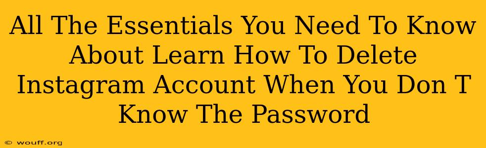 All The Essentials You Need To Know About Learn How To Delete Instagram Account When You Don T Know The Password