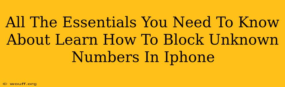 All The Essentials You Need To Know About Learn How To Block Unknown Numbers In Iphone