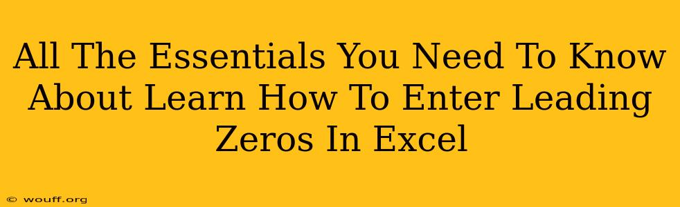 All The Essentials You Need To Know About Learn How To Enter Leading Zeros In Excel