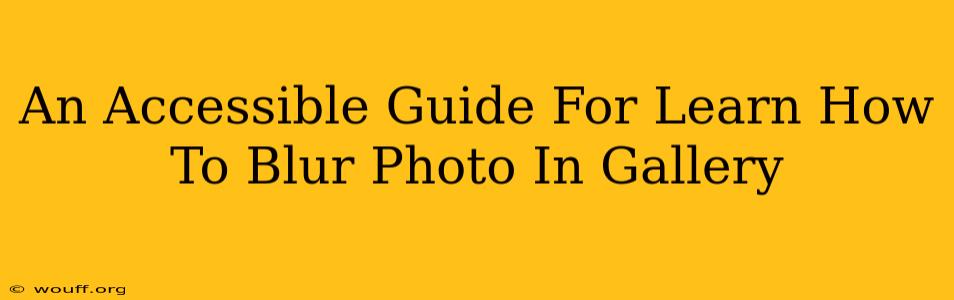 An Accessible Guide For Learn How To Blur Photo In Gallery