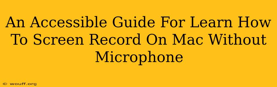 An Accessible Guide For Learn How To Screen Record On Mac Without Microphone