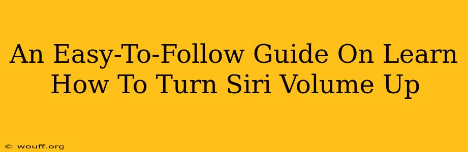 An Easy-To-Follow Guide On Learn How To Turn Siri Volume Up