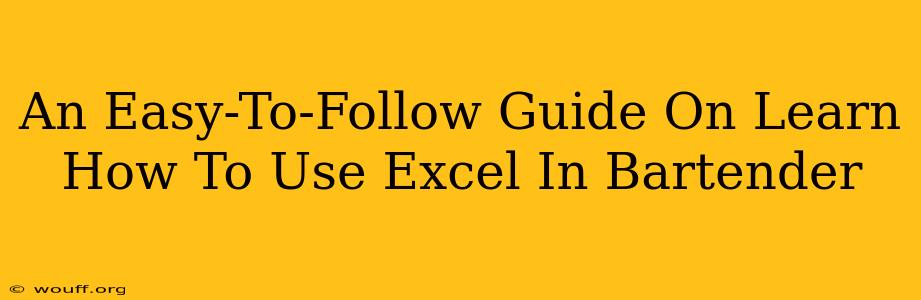 An Easy-To-Follow Guide On Learn How To Use Excel In Bartender