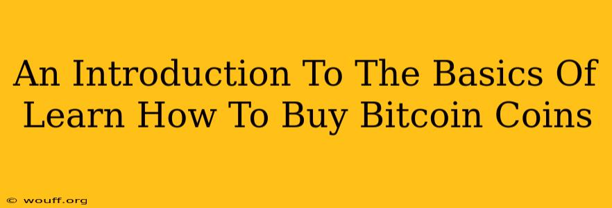 An Introduction To The Basics Of Learn How To Buy Bitcoin Coins