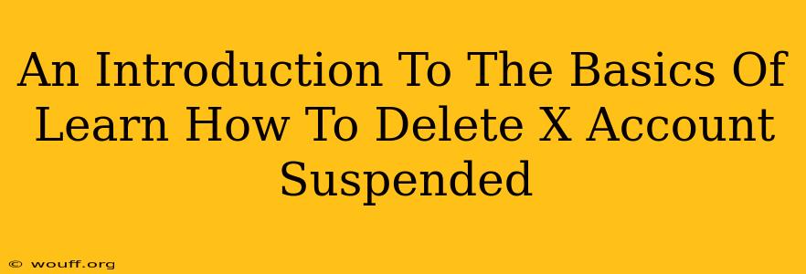 An Introduction To The Basics Of Learn How To Delete X Account Suspended