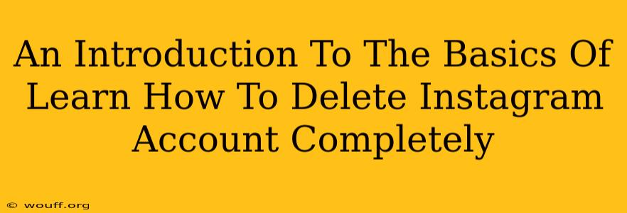 An Introduction To The Basics Of Learn How To Delete Instagram Account Completely