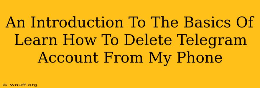 An Introduction To The Basics Of Learn How To Delete Telegram Account From My Phone