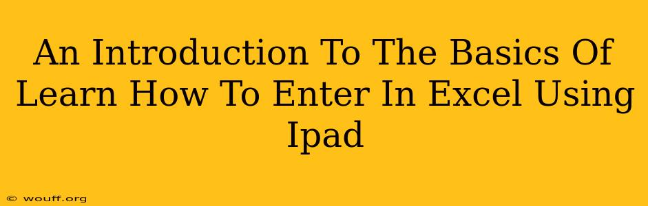 An Introduction To The Basics Of Learn How To Enter In Excel Using Ipad