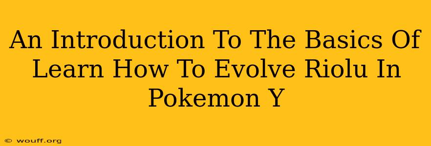 An Introduction To The Basics Of Learn How To Evolve Riolu In Pokemon Y