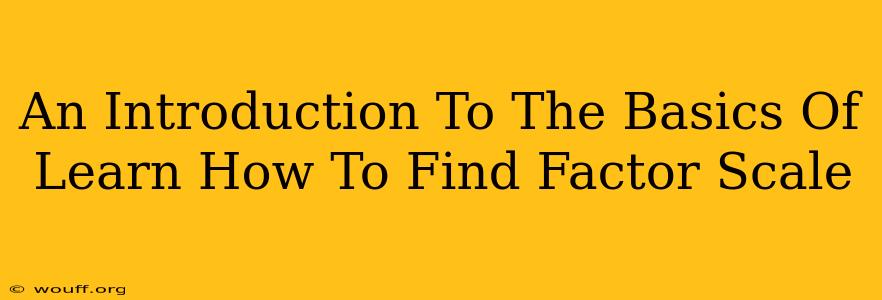 An Introduction To The Basics Of Learn How To Find Factor Scale