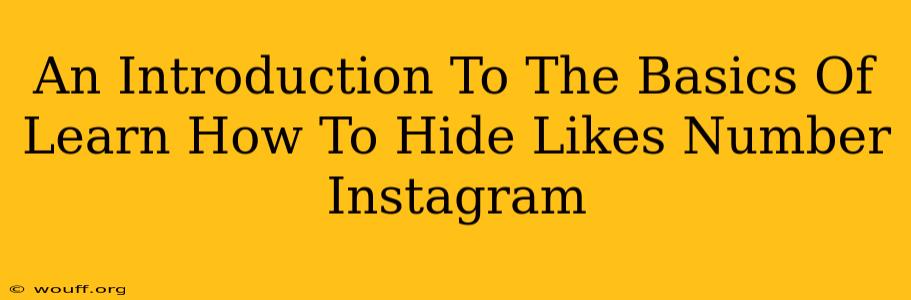 An Introduction To The Basics Of Learn How To Hide Likes Number Instagram