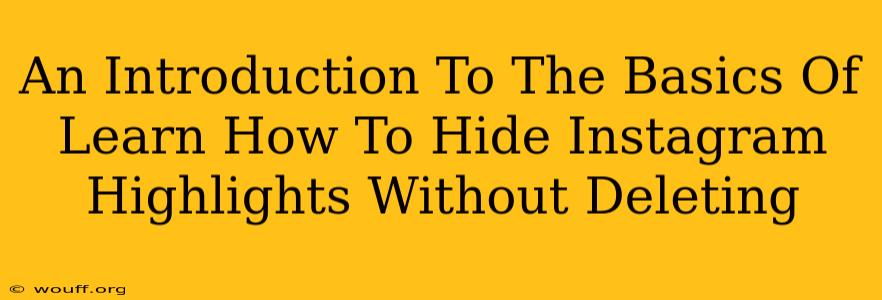 An Introduction To The Basics Of Learn How To Hide Instagram Highlights Without Deleting