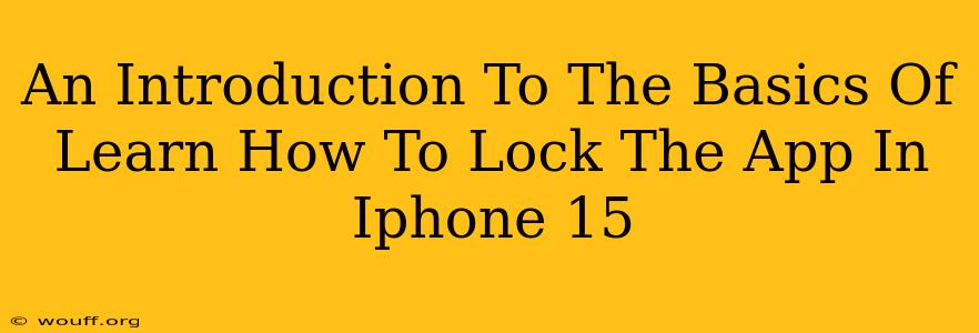 An Introduction To The Basics Of Learn How To Lock The App In Iphone 15