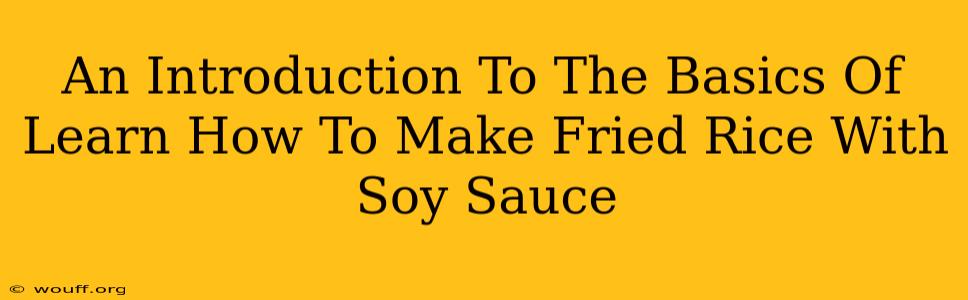 An Introduction To The Basics Of Learn How To Make Fried Rice With Soy Sauce