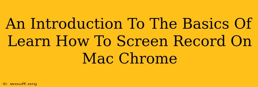 An Introduction To The Basics Of Learn How To Screen Record On Mac Chrome