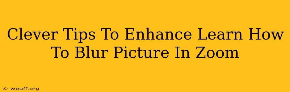 Clever Tips To Enhance Learn How To Blur Picture In Zoom