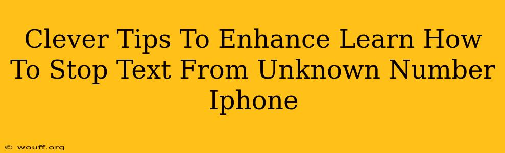 Clever Tips To Enhance Learn How To Stop Text From Unknown Number Iphone