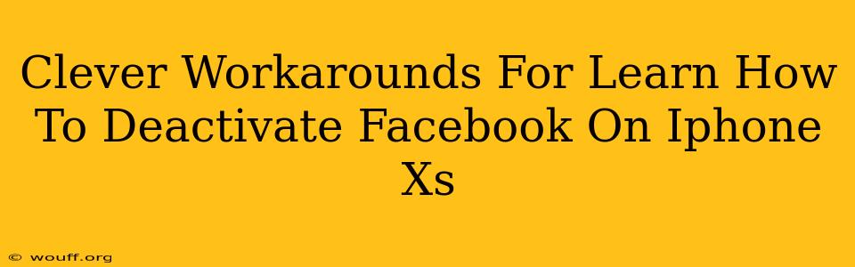 Clever Workarounds For Learn How To Deactivate Facebook On Iphone Xs