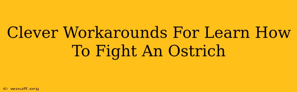 Clever Workarounds For Learn How To Fight An Ostrich