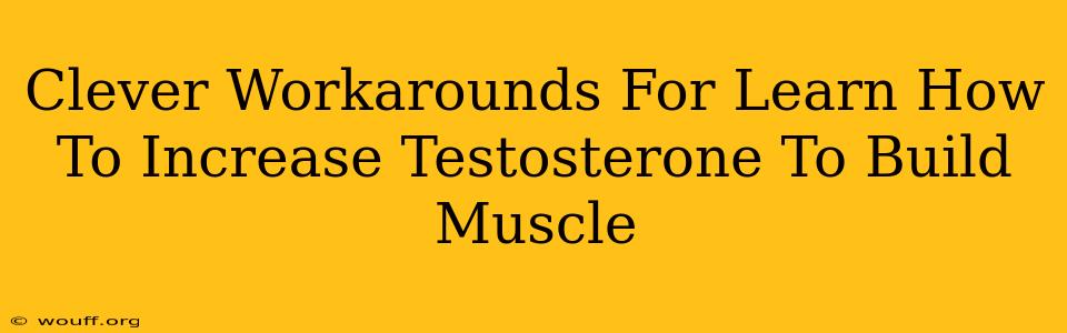 Clever Workarounds For Learn How To Increase Testosterone To Build Muscle