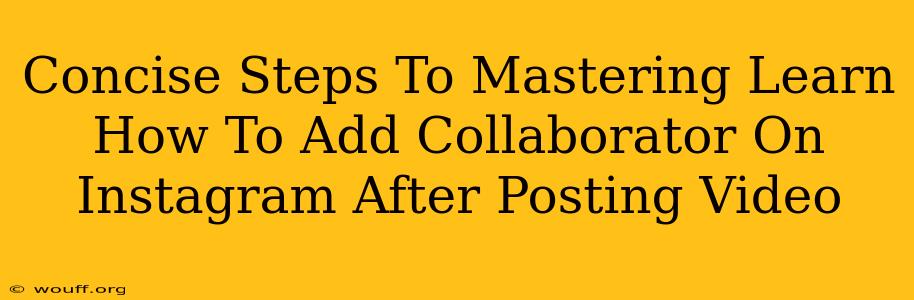 Concise Steps To Mastering Learn How To Add Collaborator On Instagram After Posting Video