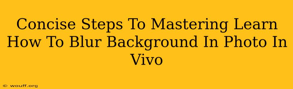 Concise Steps To Mastering Learn How To Blur Background In Photo In Vivo