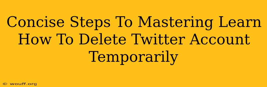 Concise Steps To Mastering Learn How To Delete Twitter Account Temporarily