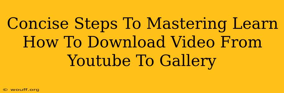 Concise Steps To Mastering Learn How To Download Video From Youtube To Gallery