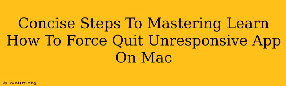 Concise Steps To Mastering Learn How To Force Quit Unresponsive App On Mac