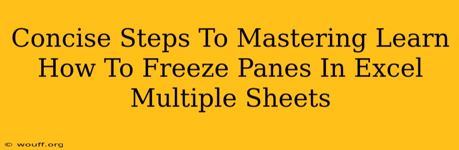 Concise Steps To Mastering Learn How To Freeze Panes In Excel Multiple Sheets