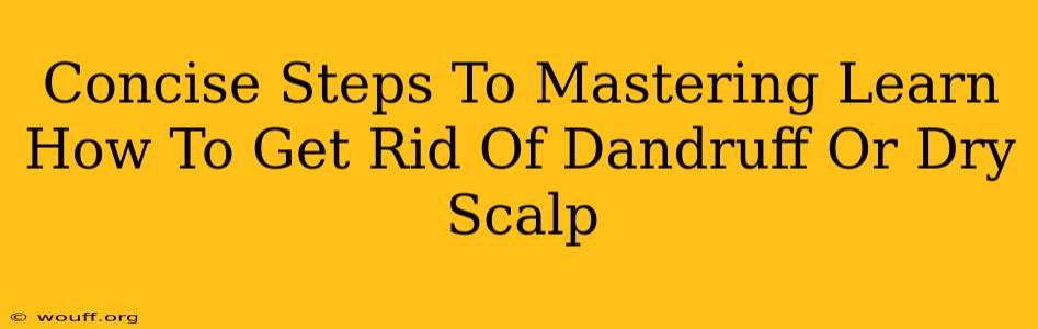 Concise Steps To Mastering Learn How To Get Rid Of Dandruff Or Dry Scalp