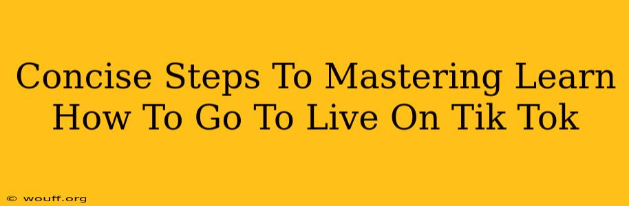 Concise Steps To Mastering Learn How To Go To Live On Tik Tok