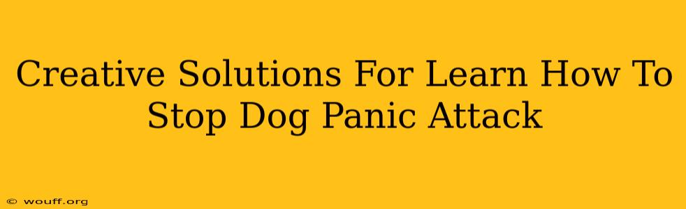 Creative Solutions For Learn How To Stop Dog Panic Attack