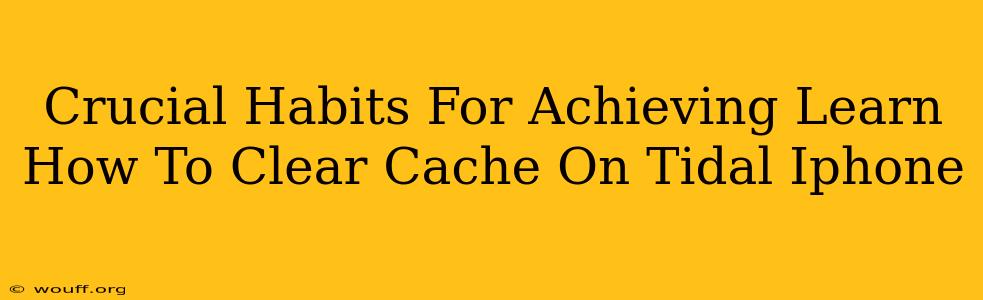 Crucial Habits For Achieving Learn How To Clear Cache On Tidal Iphone
