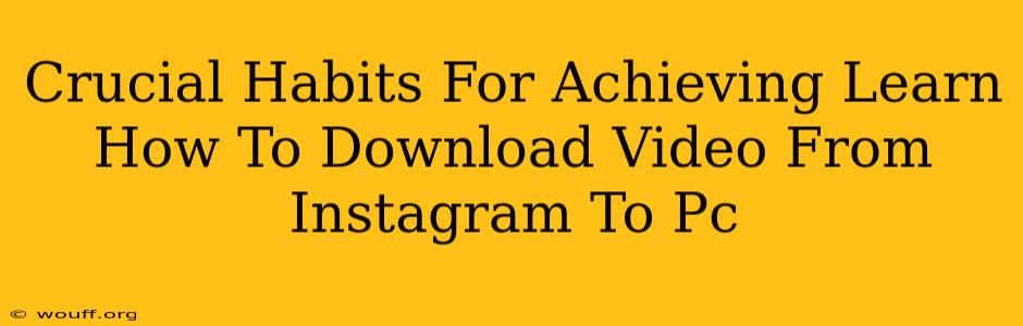 Crucial Habits For Achieving Learn How To Download Video From Instagram To Pc