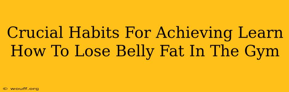 Crucial Habits For Achieving Learn How To Lose Belly Fat In The Gym