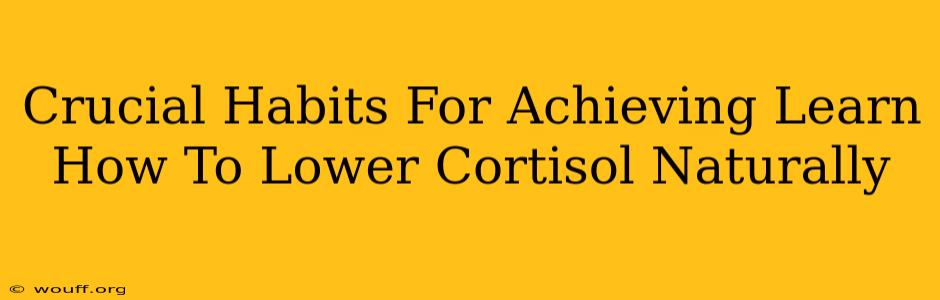 Crucial Habits For Achieving Learn How To Lower Cortisol Naturally