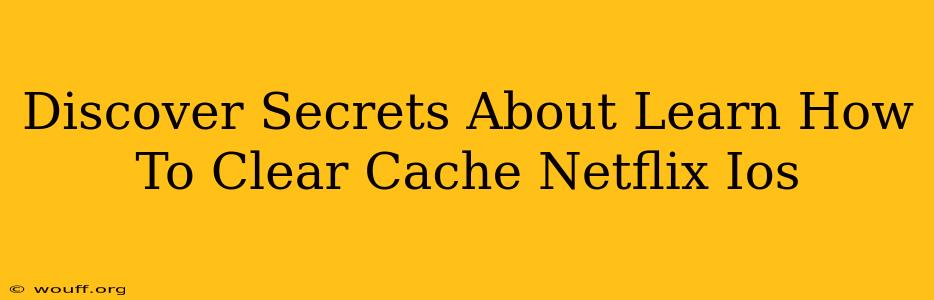 Discover Secrets About Learn How To Clear Cache Netflix Ios