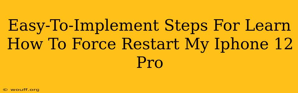 Easy-To-Implement Steps For Learn How To Force Restart My Iphone 12 Pro