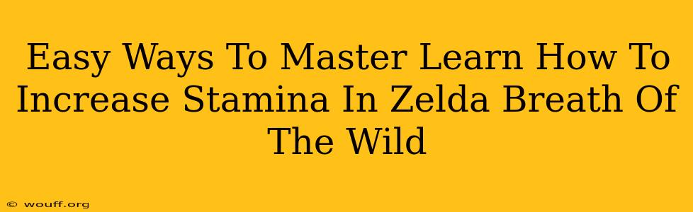 Easy Ways To Master Learn How To Increase Stamina In Zelda Breath Of The Wild