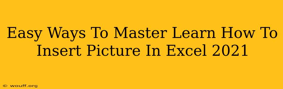 Easy Ways To Master Learn How To Insert Picture In Excel 2021