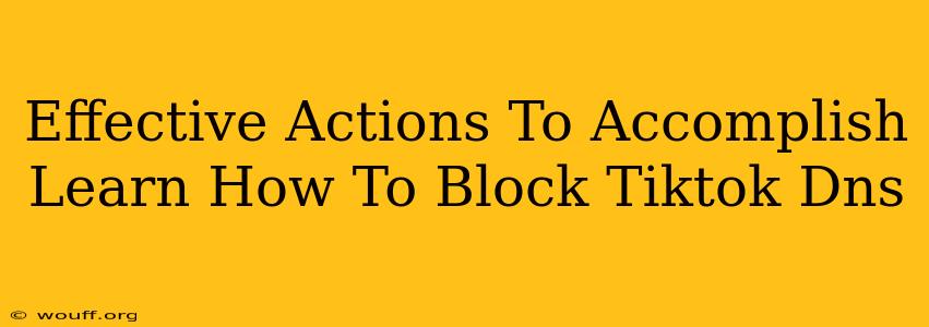 Effective Actions To Accomplish Learn How To Block Tiktok Dns