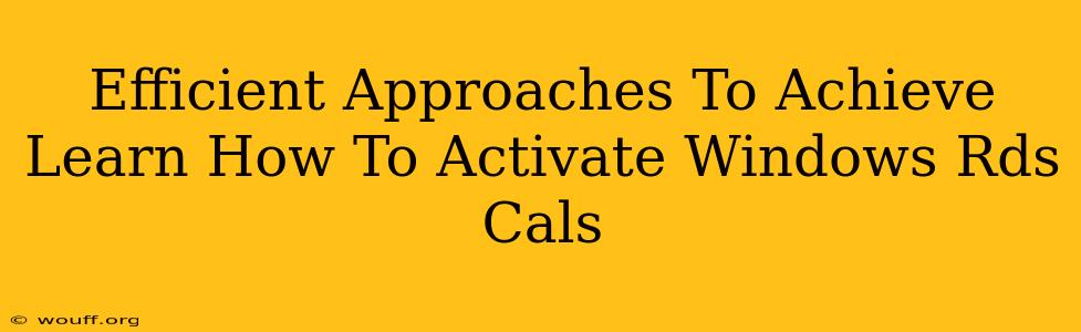 Efficient Approaches To Achieve Learn How To Activate Windows Rds Cals