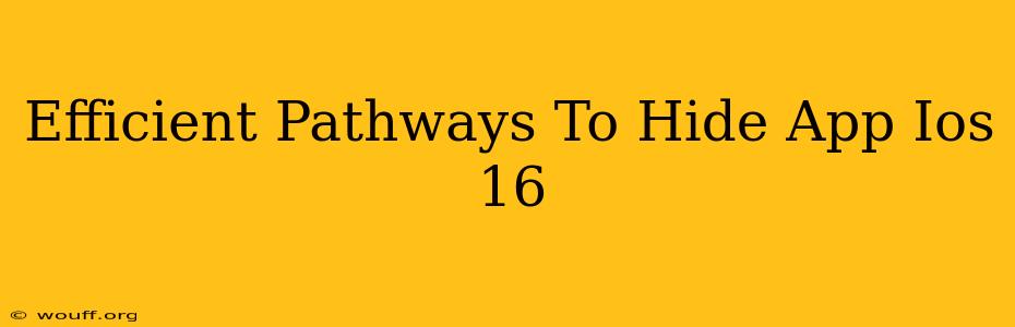 Efficient Pathways To Hide App Ios 16