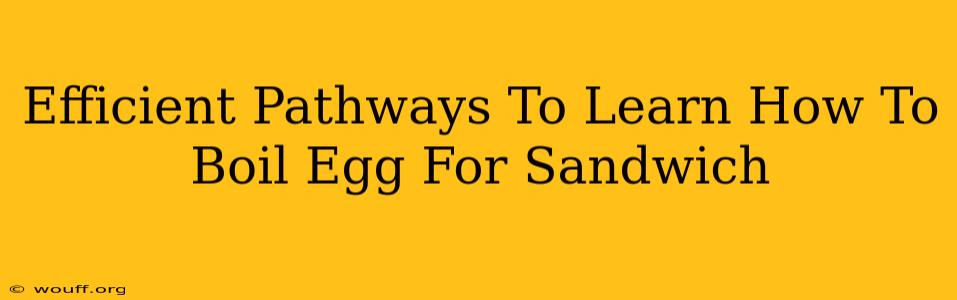 Efficient Pathways To Learn How To Boil Egg For Sandwich