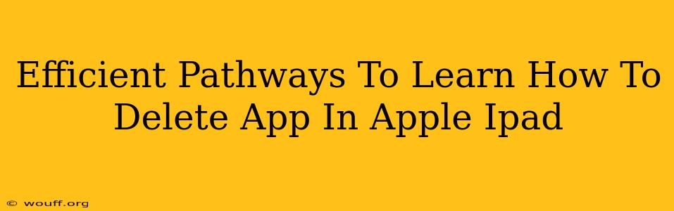 Efficient Pathways To Learn How To Delete App In Apple Ipad