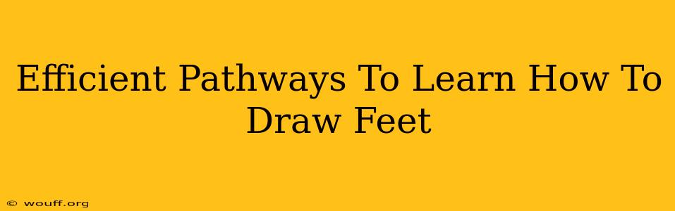 Efficient Pathways To Learn How To Draw Feet