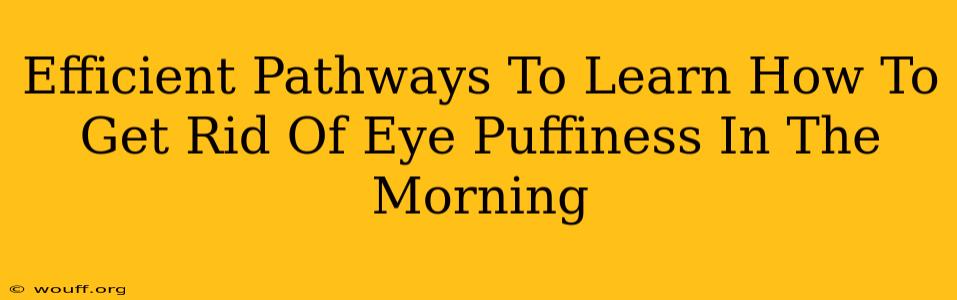 Efficient Pathways To Learn How To Get Rid Of Eye Puffiness In The Morning