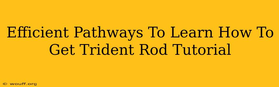 Efficient Pathways To Learn How To Get Trident Rod Tutorial