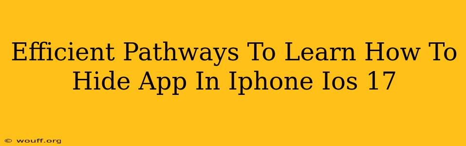 Efficient Pathways To Learn How To Hide App In Iphone Ios 17